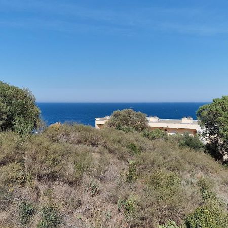 Appartement Avec Terrasse, Wifi, Parking Prive, A 2Min De La Plage Des Elmes - Banyuls-Sur-Mer - Fr-1-309-130 ภายนอก รูปภาพ