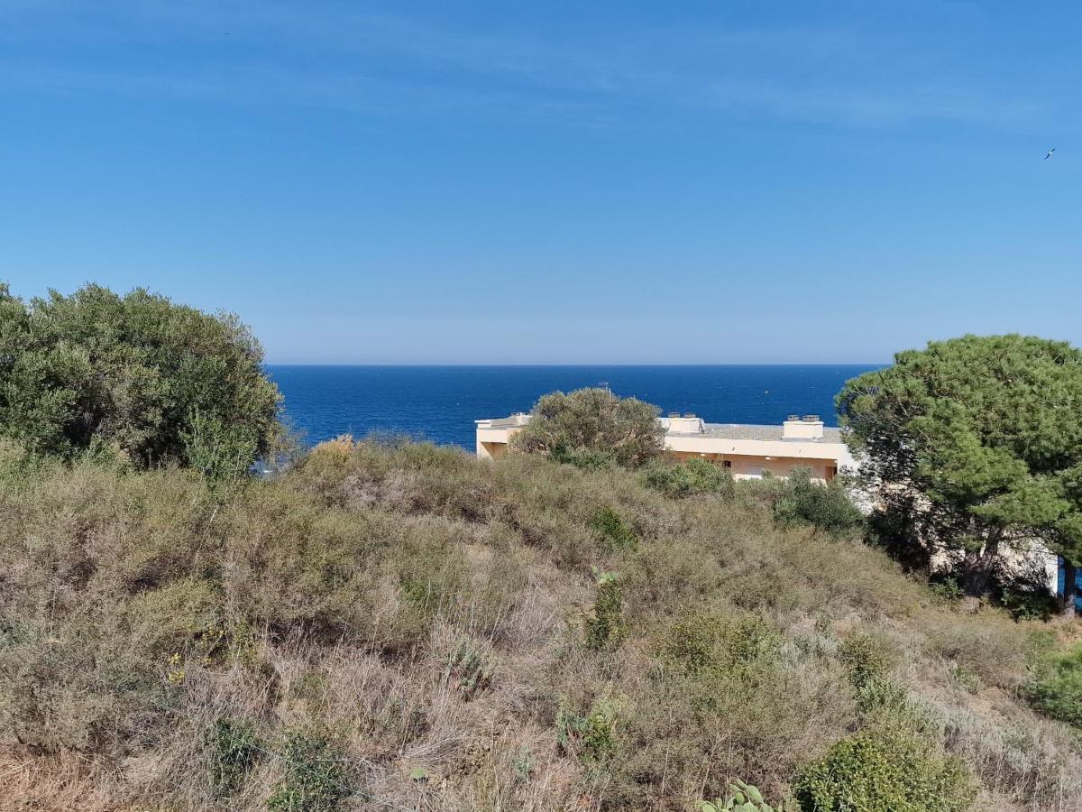 Appartement Avec Terrasse, Wifi, Parking Prive, A 2Min De La Plage Des Elmes - Banyuls-Sur-Mer - Fr-1-309-130 ภายนอก รูปภาพ