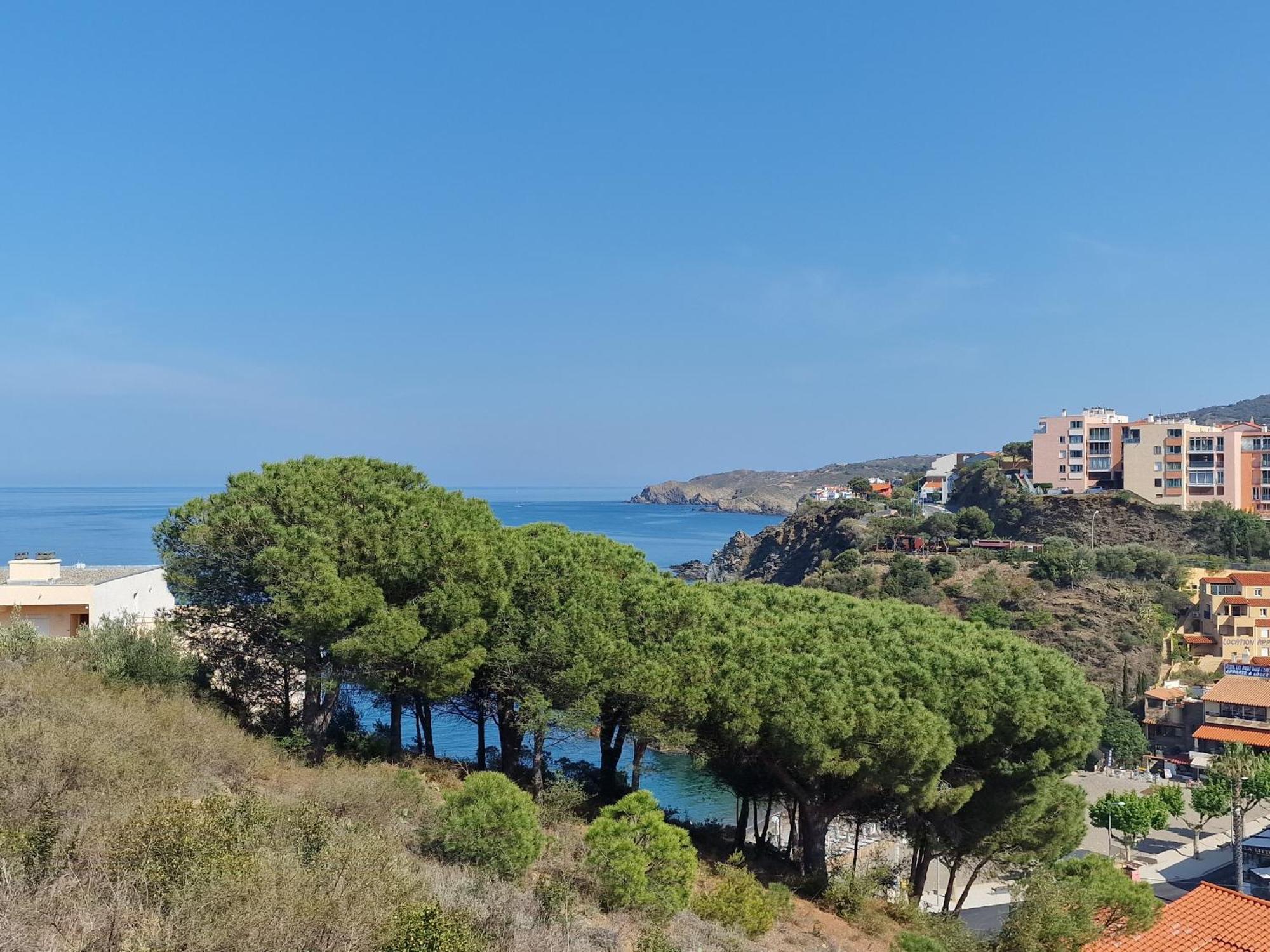 Appartement Avec Terrasse, Wifi, Parking Prive, A 2Min De La Plage Des Elmes - Banyuls-Sur-Mer - Fr-1-309-130 ภายนอก รูปภาพ
